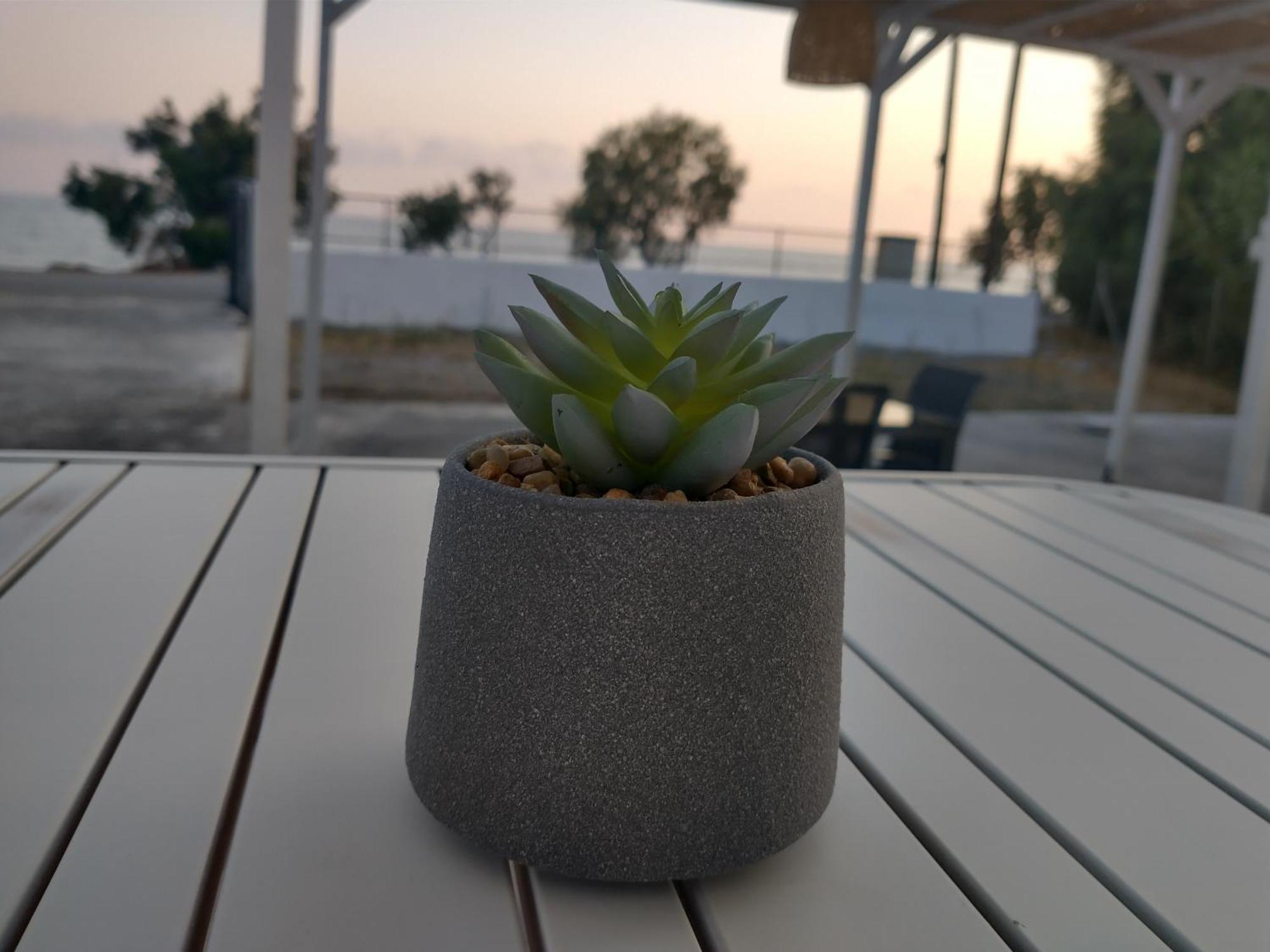 Mini Avra